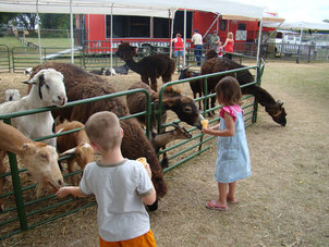 Petting Zoos - B3 Entertainment Productions, Inc.